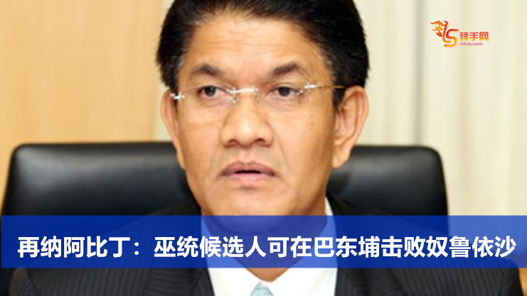 再纳阿比丁：巫统候选人可在巴东埔击败奴鲁依沙