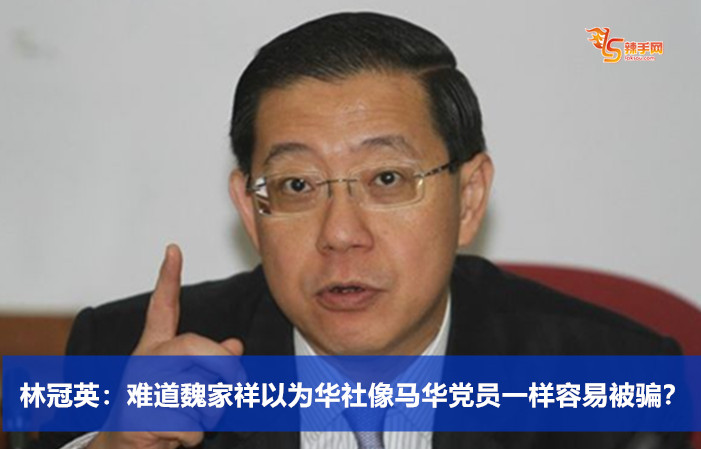 林冠英：难道魏家祥以为华社像马华党员一样容易被骗？