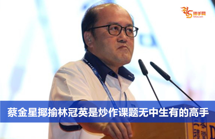 蔡金星揶揄林冠英是炒作课题无中生有的高手