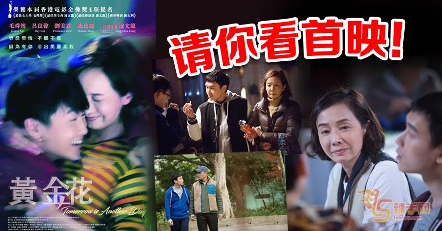 【至辣影像】请你看《黄金花》