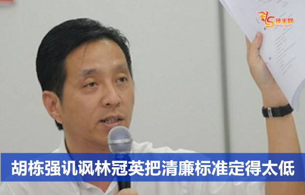 胡栋强讥讽林冠英把清廉标准定得太低