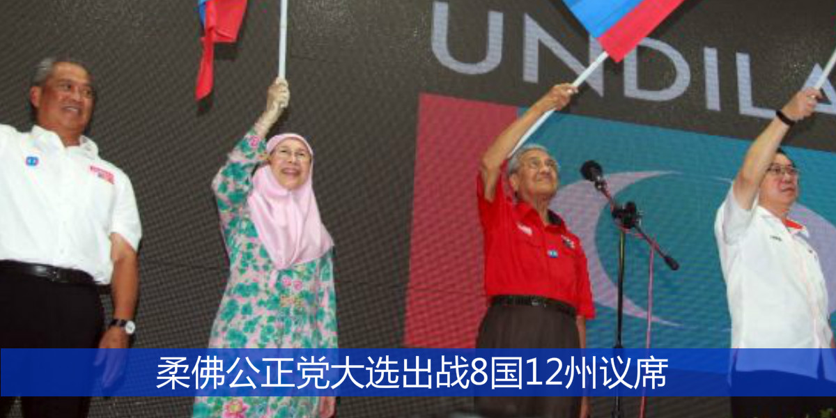 柔佛公正党大选出战8国12州议席