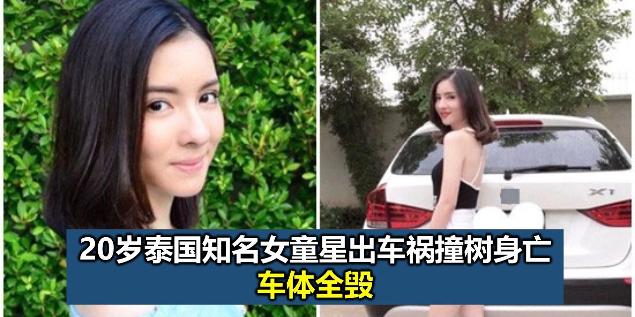 20岁泰国知名女童星出车祸撞树身亡 车体全毁