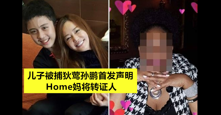 儿子被捕狄莺孙鹏首发声明 Home妈将转证人