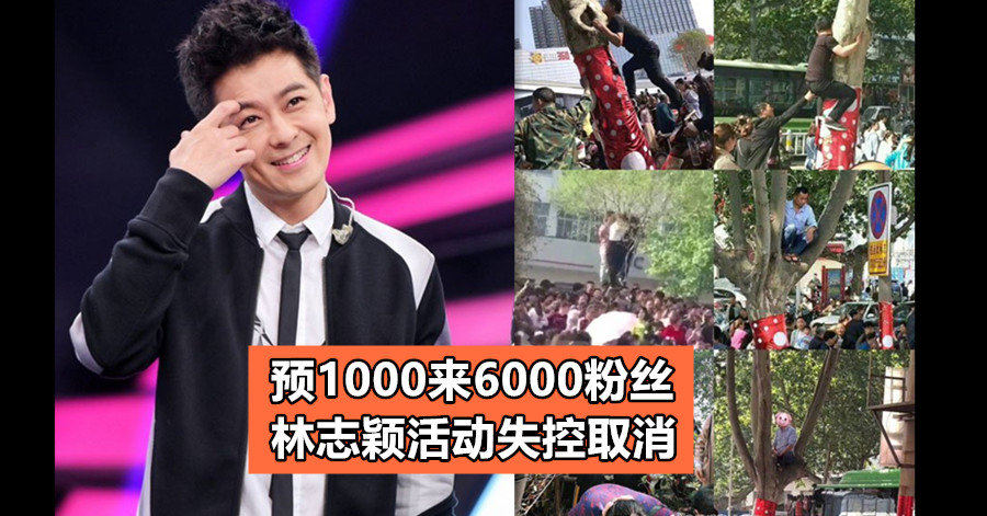 预1000来6000粉丝 林志颖活动失控取消