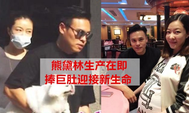 熊黛林生产在即 捧巨肚迎接新生命