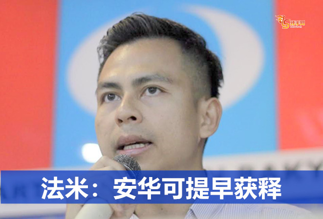 法米：安华可提早获释