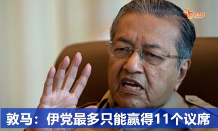 敦马：伊党最多只能赢得11个议席