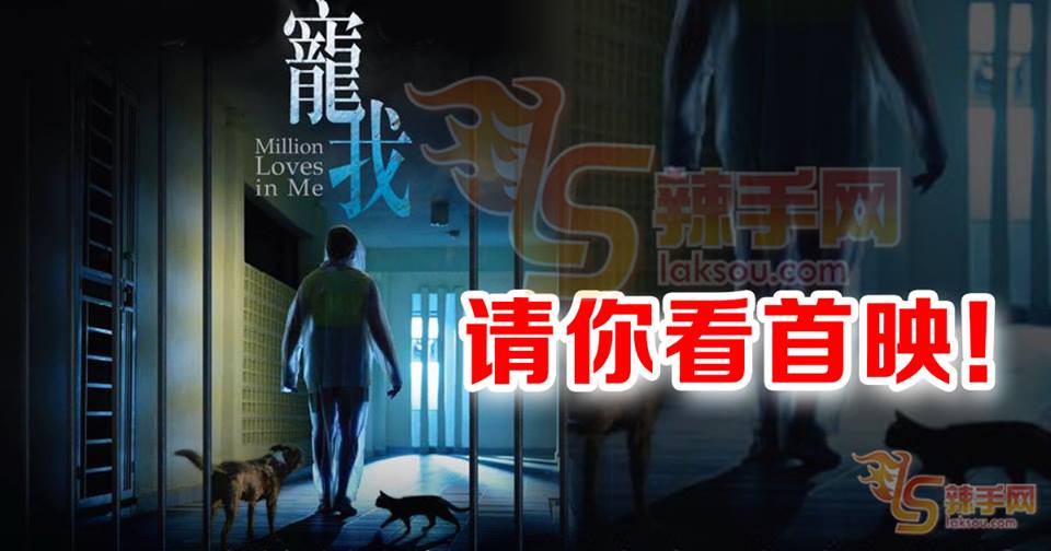 【至辣影像】请你看《宠我》