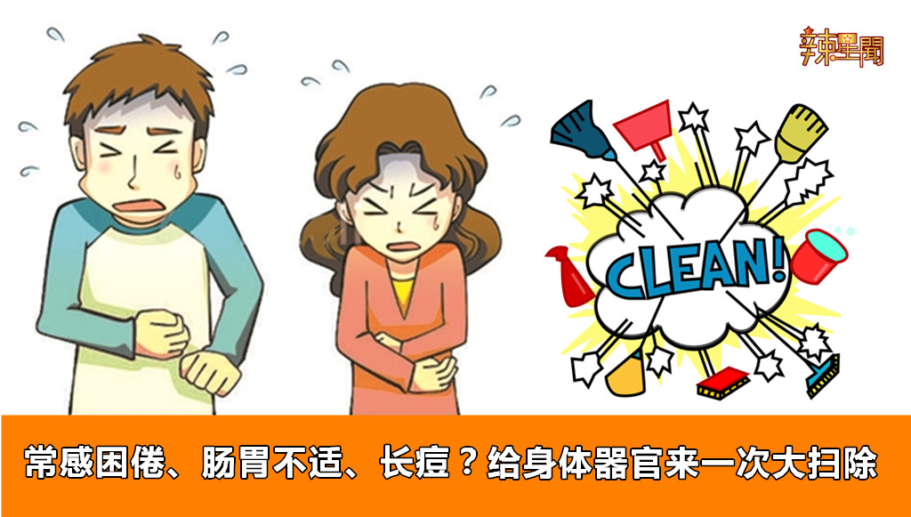 常感困倦、肠胃不适、长痘？给身体器官来一次大扫除！