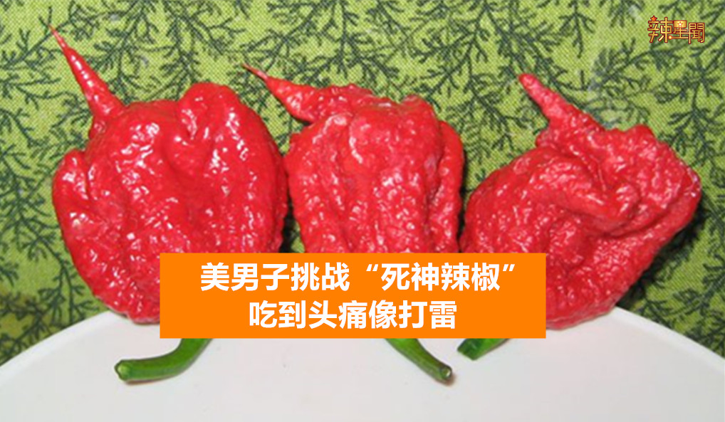 美男子挑战“死神辣椒” 吃到头痛像打雷