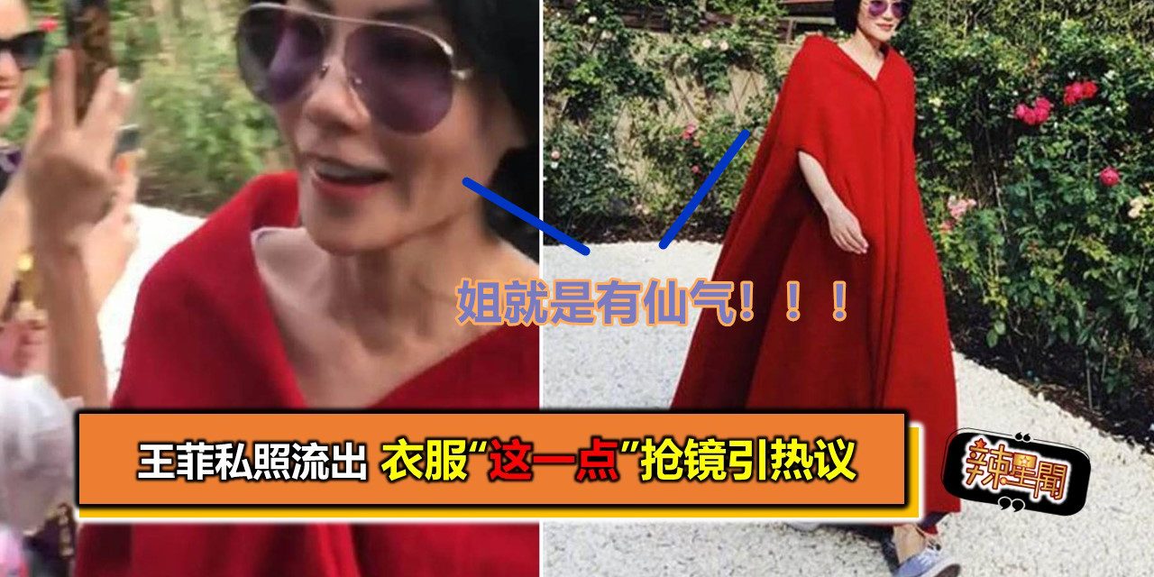 王菲私照流出 衣服“这一点”抢镜引热议