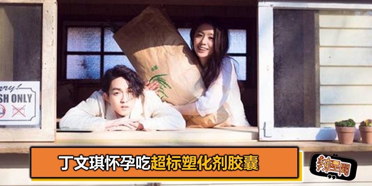 丁文琪怀孕吃超标塑化剂胶囊