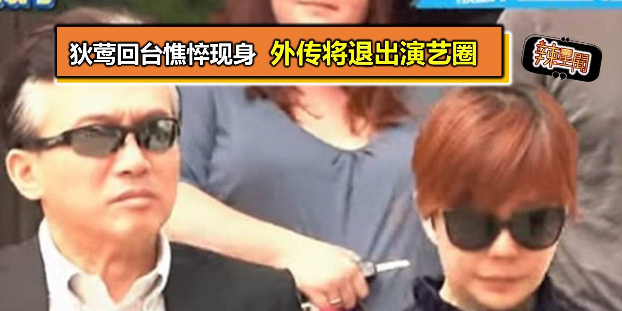 狄莺回台憔悴现身 外传将退出演艺圈