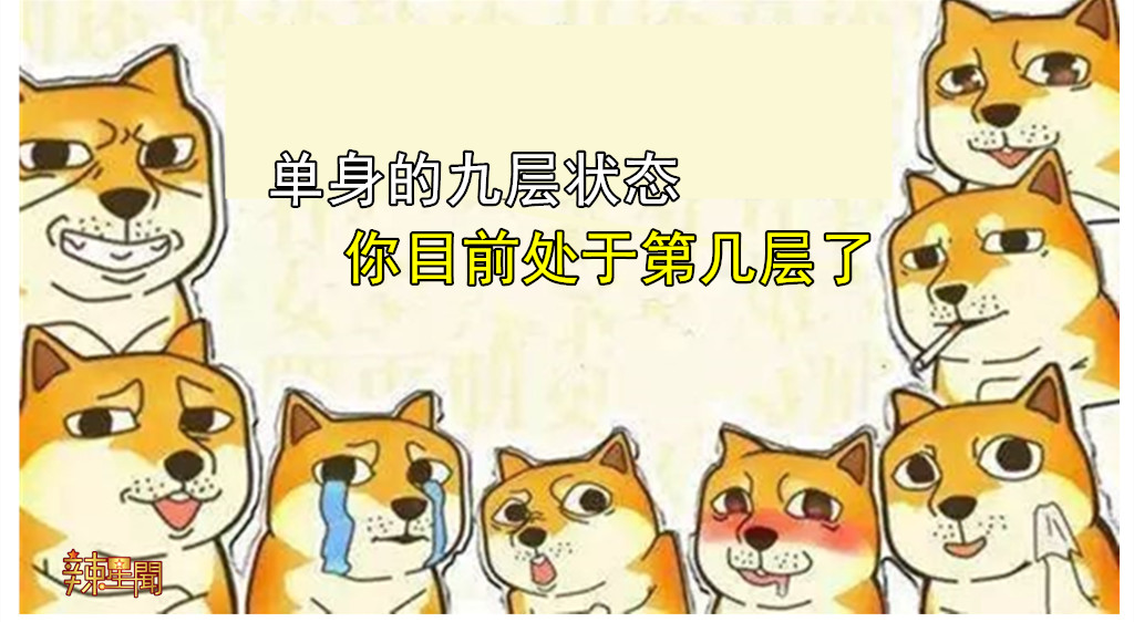 单身的九层状态，你目前处于第几层了