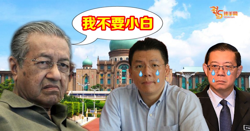 倪可敏无缘入阁！