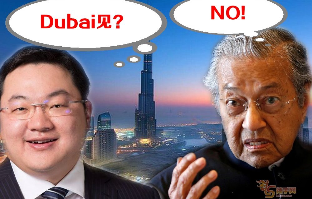 你给我回来接受调查！