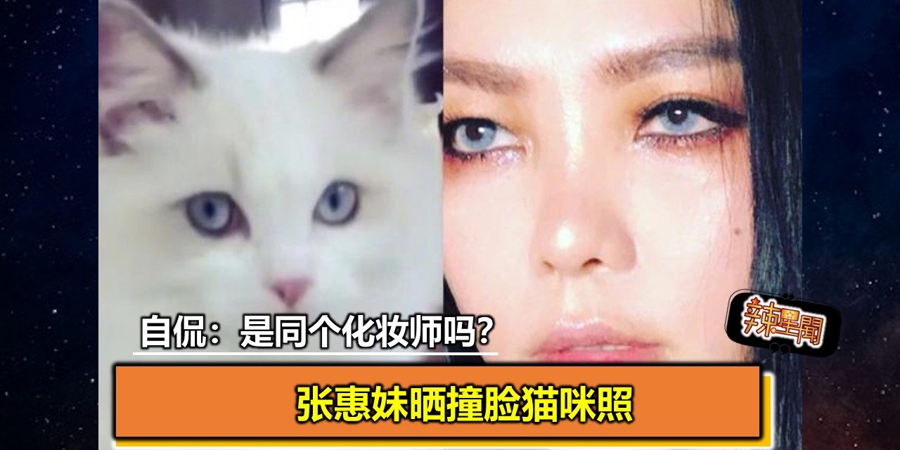 张惠妹晒撞脸猫咪照 自侃：是同个化妆师吗？