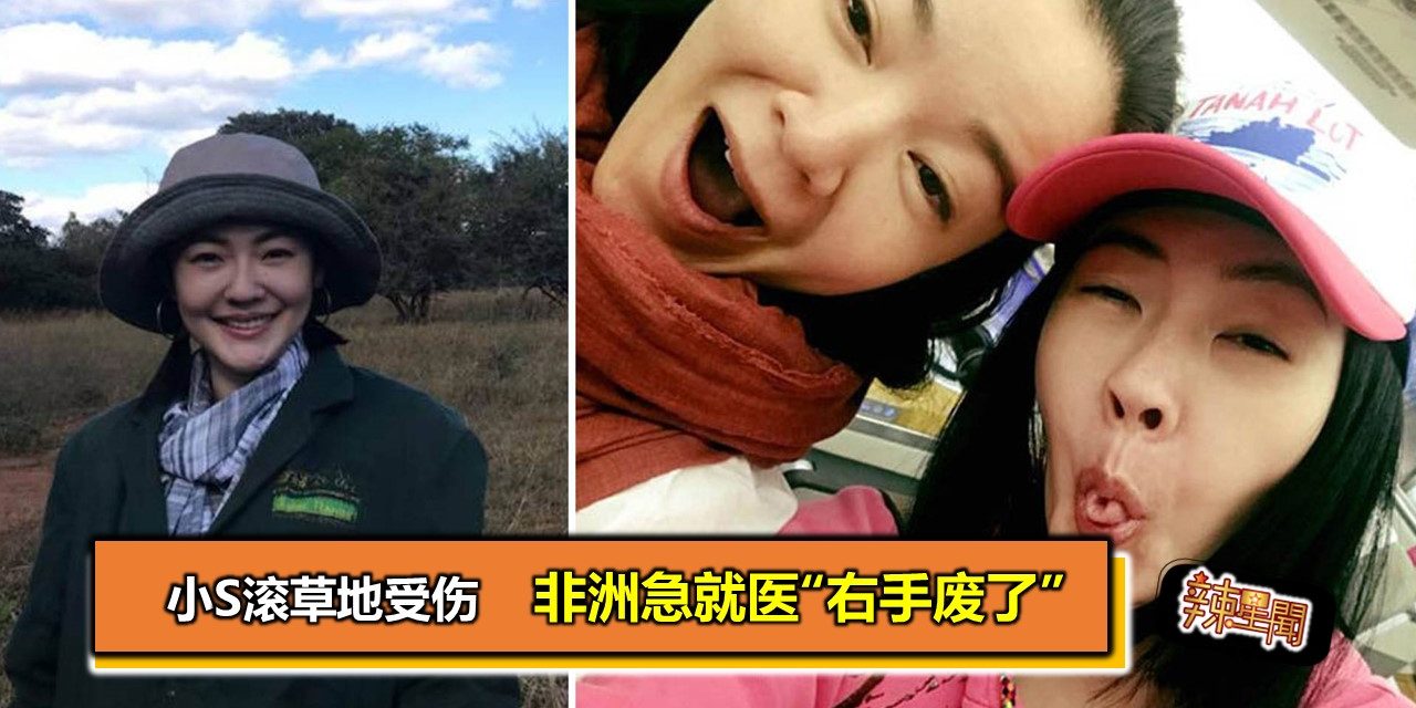 小S滚草地受伤 非洲急就医“右手废了”