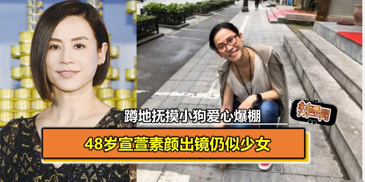 48岁宣萱素颜出镜仍似少女 蹲地抚摸小狗爱心爆棚