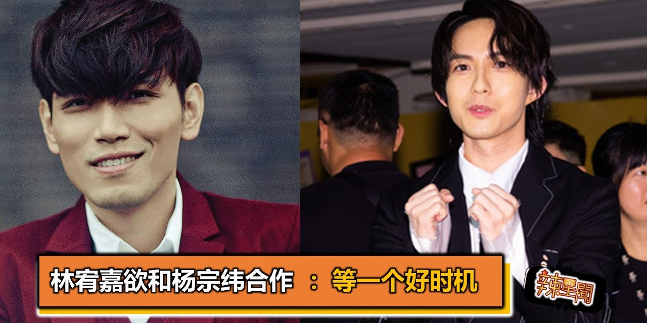 林宥嘉欲和杨宗纬合作：等一个好时机