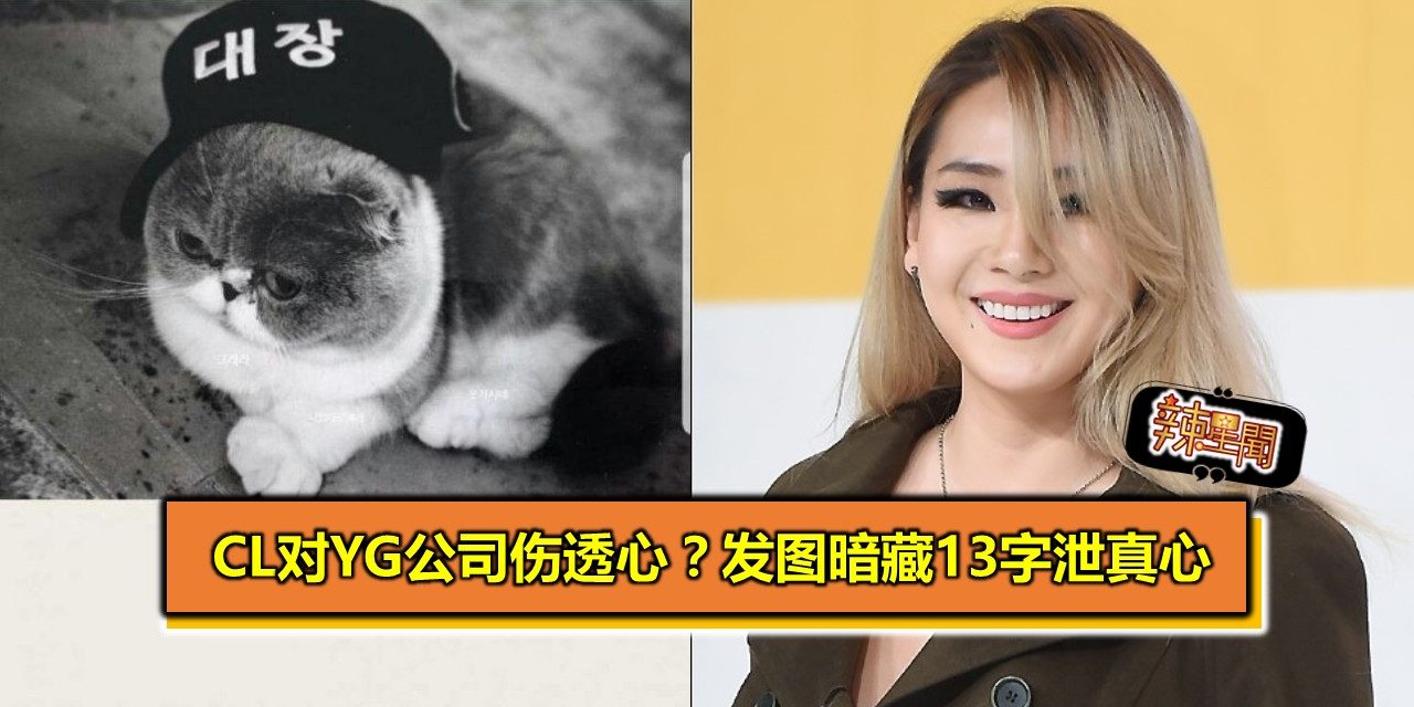 CL真的对YG公司伤透心？发图暗藏13字泄真心