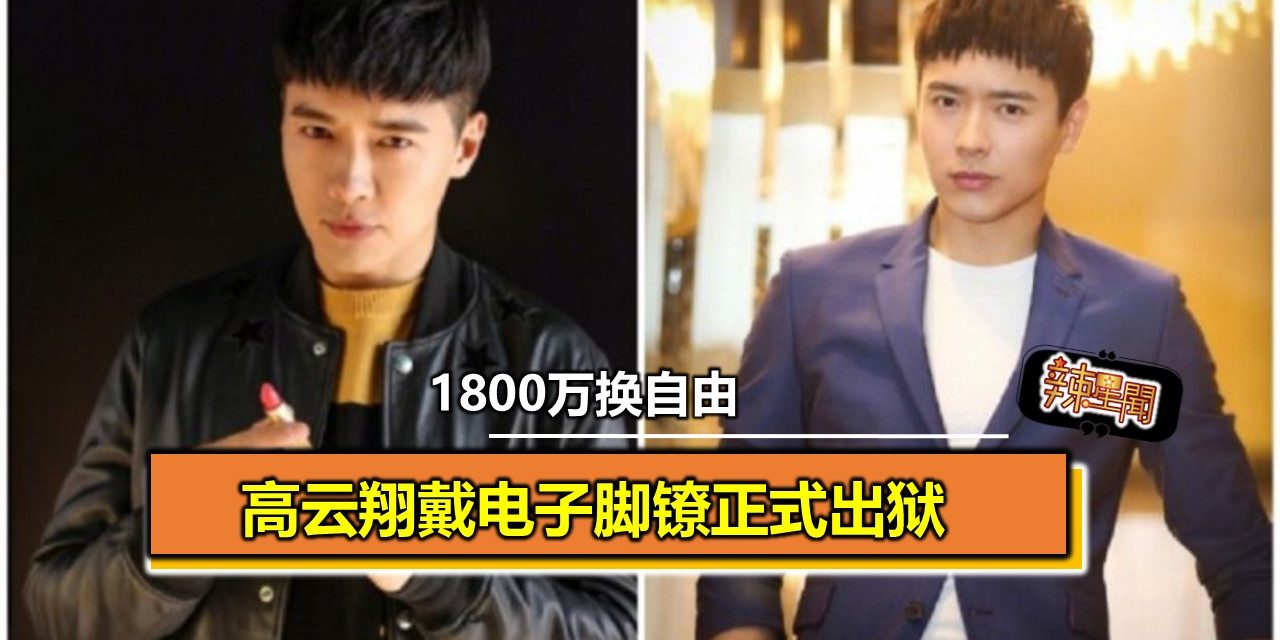 1800万换自由 高云翔戴电子脚镣正式出狱