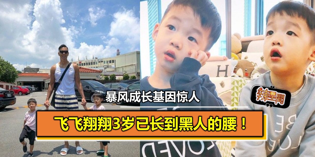 飞飞翔翔3岁已长到黑人的腰！暴风成长基因惊人