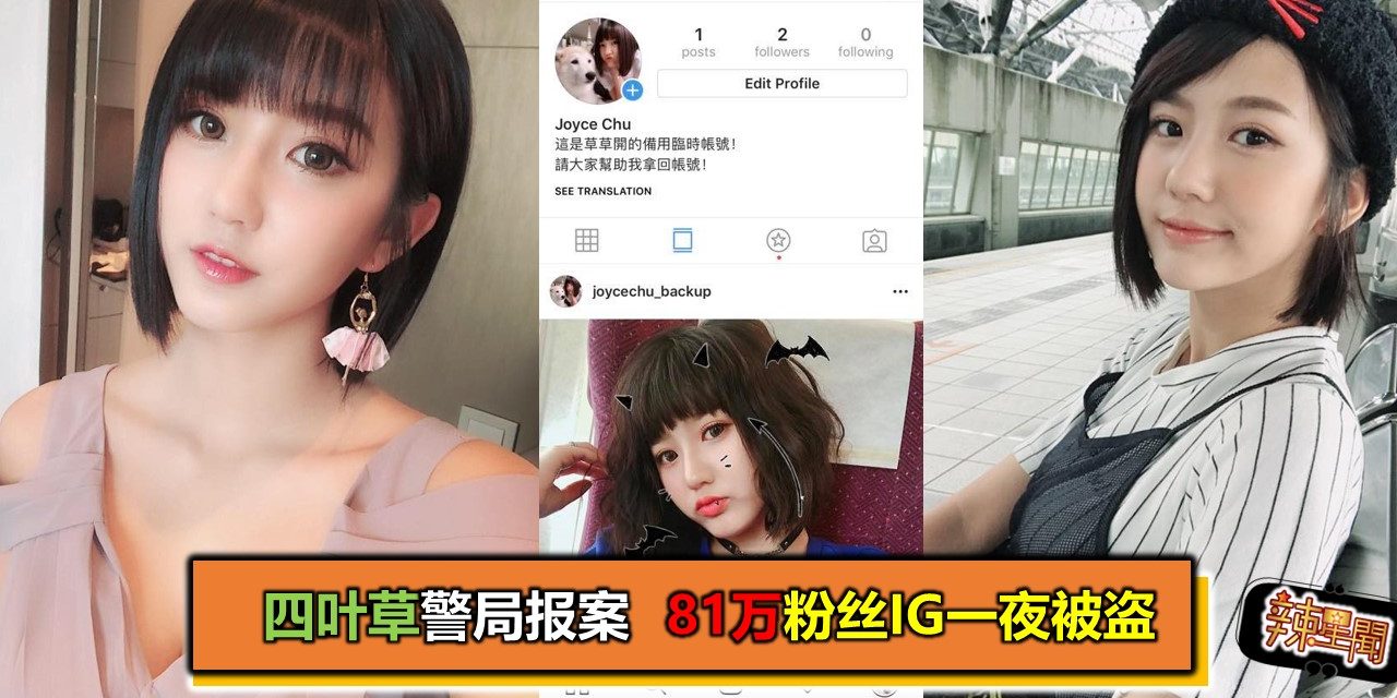 四叶草警局报案 81万粉丝IG一夜被盗