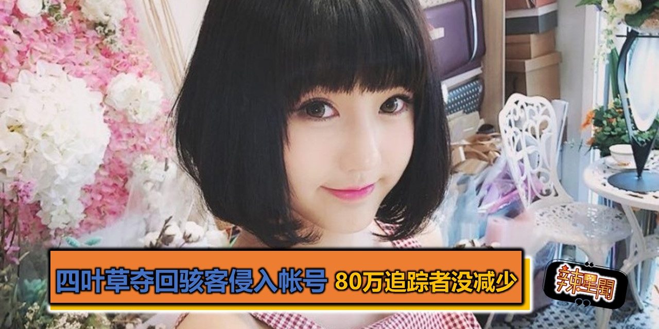 四叶草夺回骇客侵入帐号 80万追踪者没减少