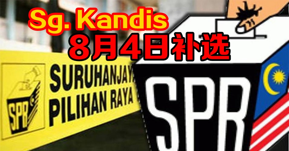 804巴生人再做老板！