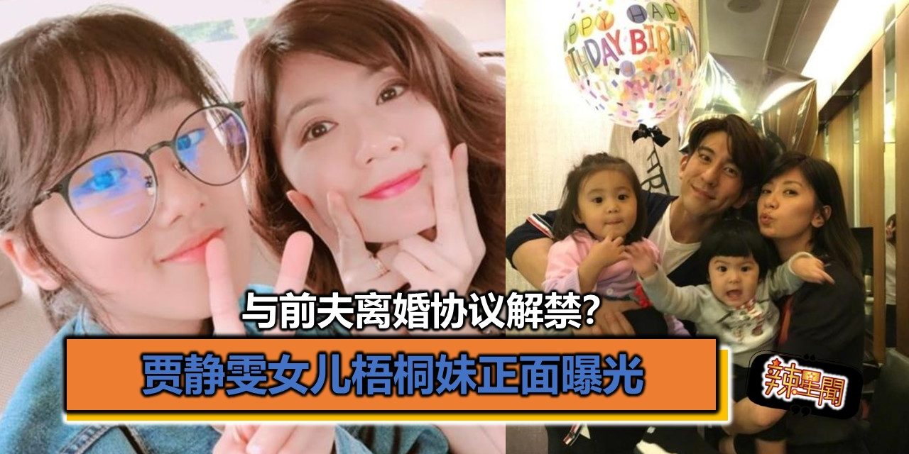 与前夫离婚协议解禁？贾静雯女儿梧桐妹正面曝光