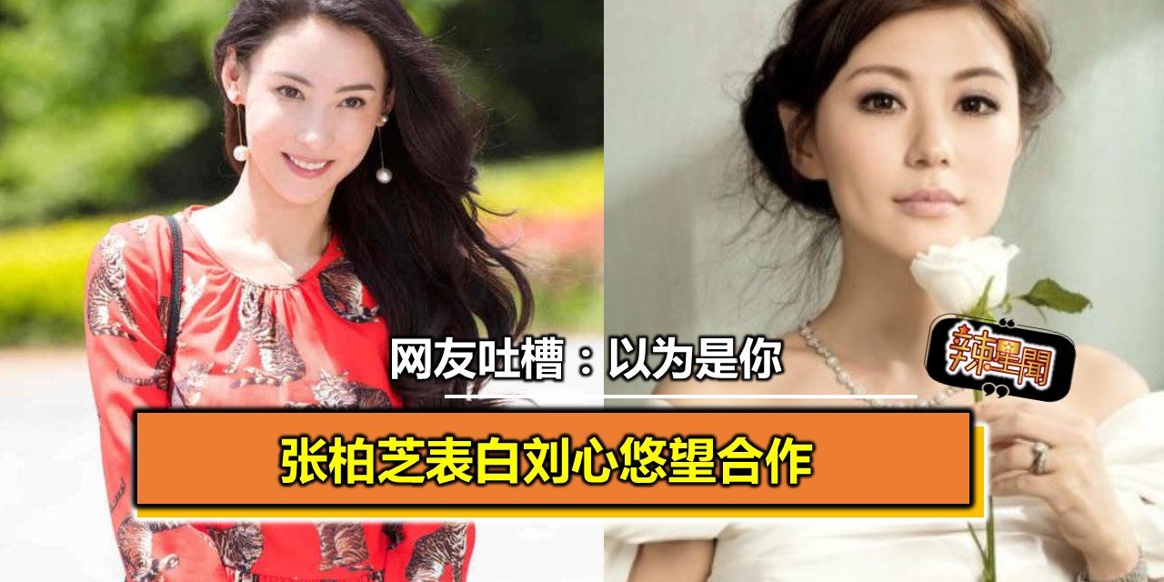 张柏芝表白刘心悠望合作 网友吐槽：以为是你