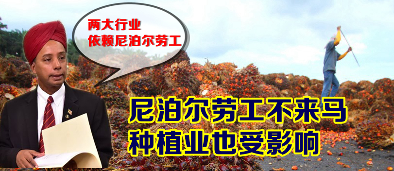 人资部长：两大行业依赖 希望尼泊尔重新考虑