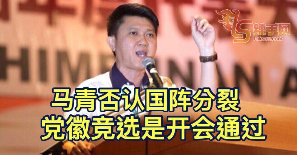 马华首次使用党徽竞选 马青否认成员党分裂