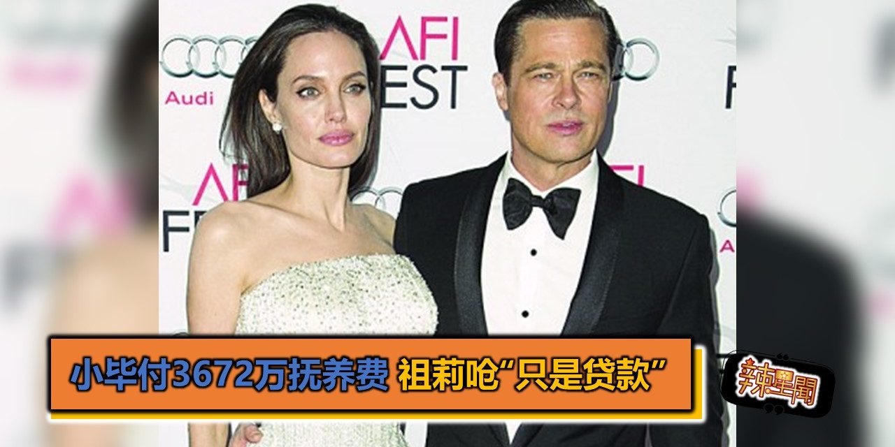 小毕付3672万抚养费 祖莉呛“只是贷款”