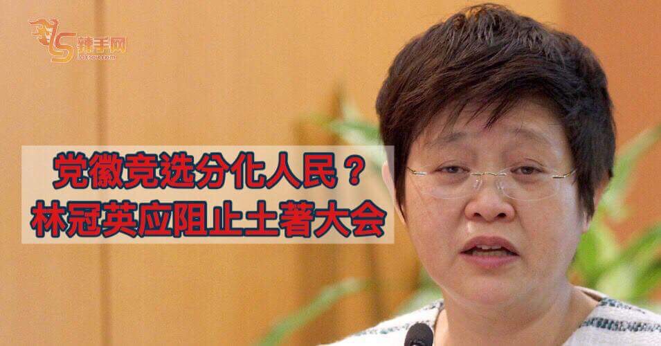 周美芬：马华党徽竞选分化人民？ 林冠英应该阻止土著大会！