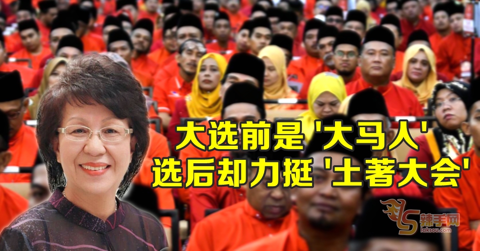 王锺璇：林冠英大选前是“大马人”，选后却力挺“土著大会”