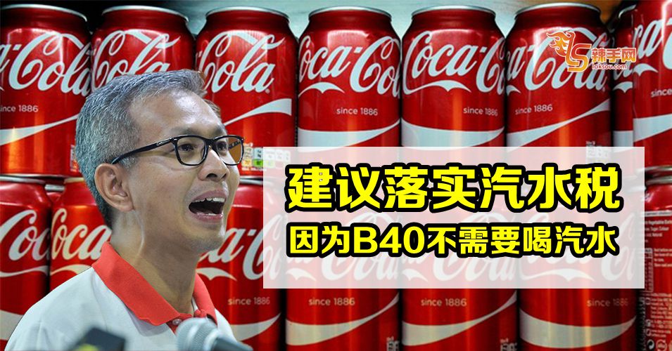 潘俭伟建议落实汽水税