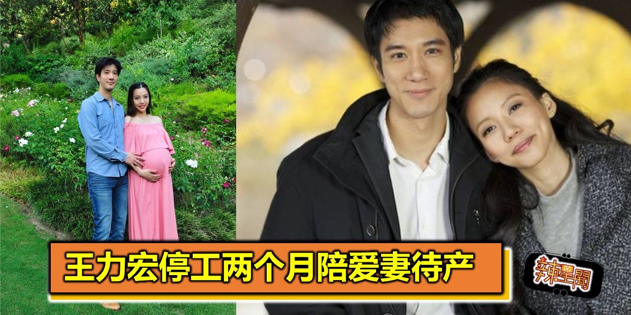 王力宏停工两个月陪爱妻待产
