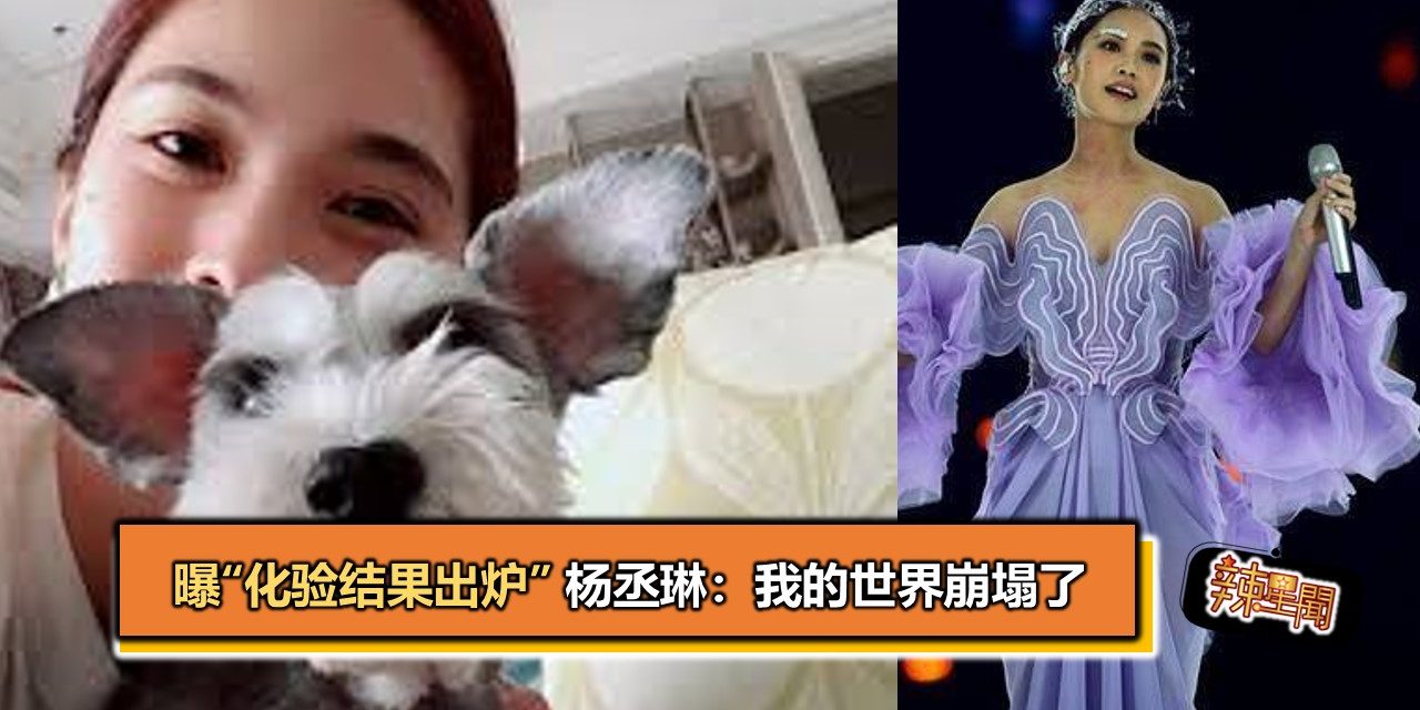 曝“化验结果出炉” 杨丞琳：我的世界崩塌了