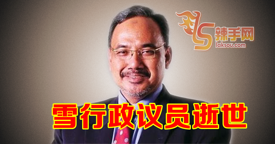 雪行政议员逝世 将迎来第3场补选