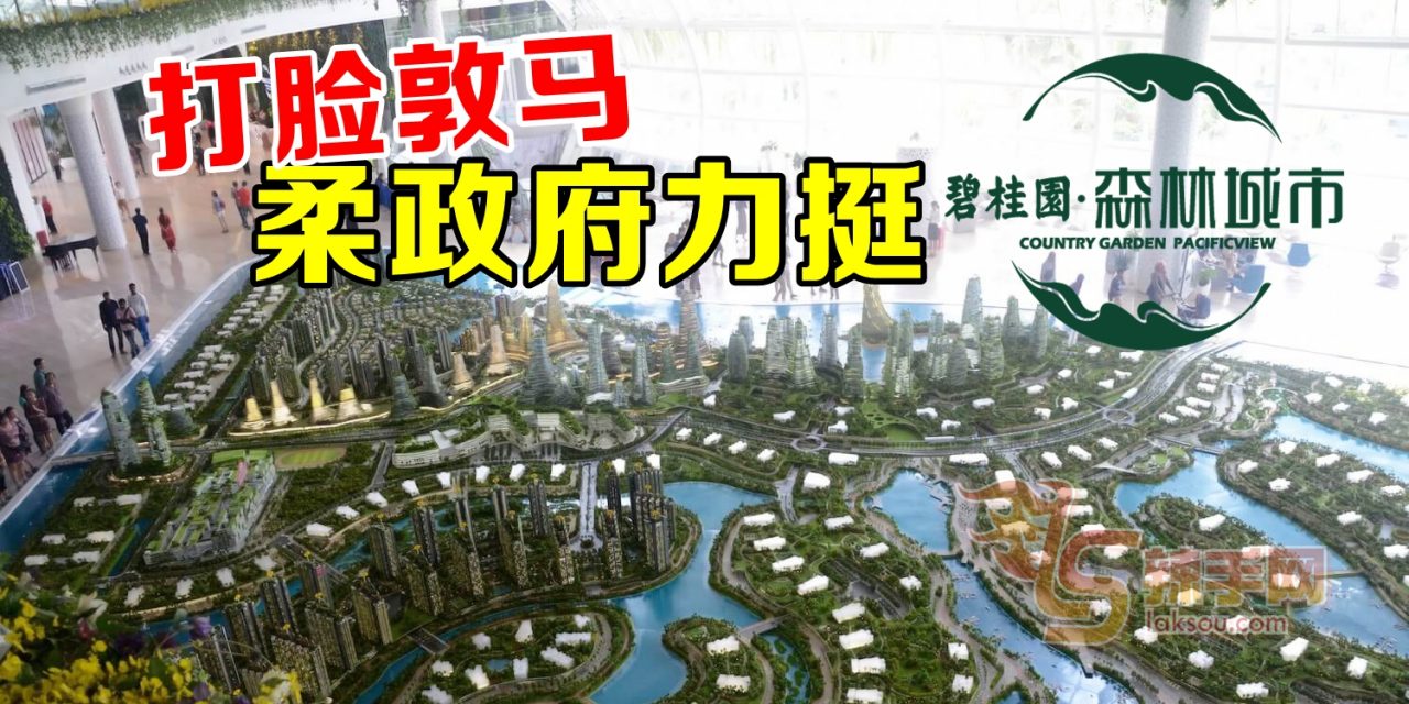 狠打脸敦马  柔佛政府力挺森林城市