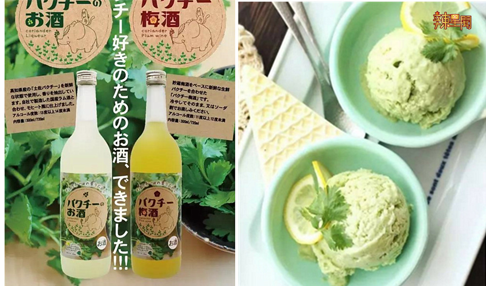 香菜控的天堂 各种香菜制成品