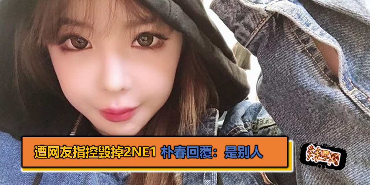 遭网友指控毁掉2NE1 朴春回覆：是别人