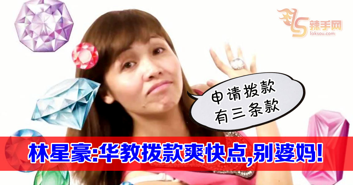 林星豪： 华教拨款突增三条款  预计特别拨款也将胎死腹中！