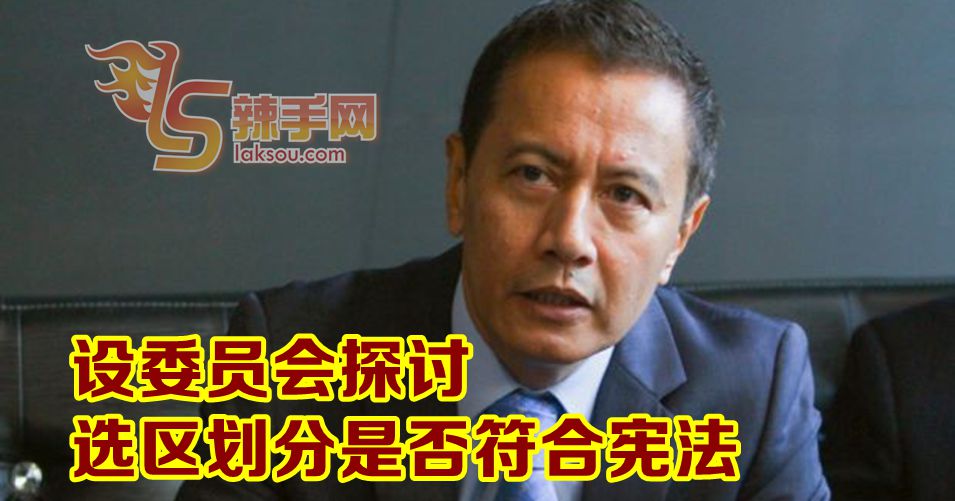 选委会：成立委员会检讨选区划分是否符合宪法