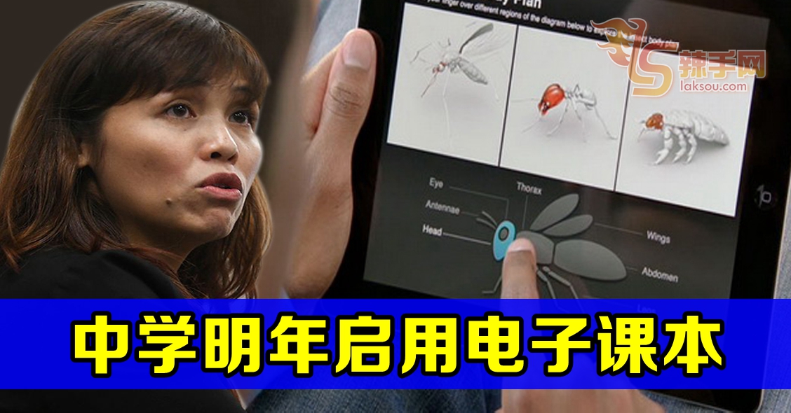 启用电子课本 平板自备或学校提供,未定