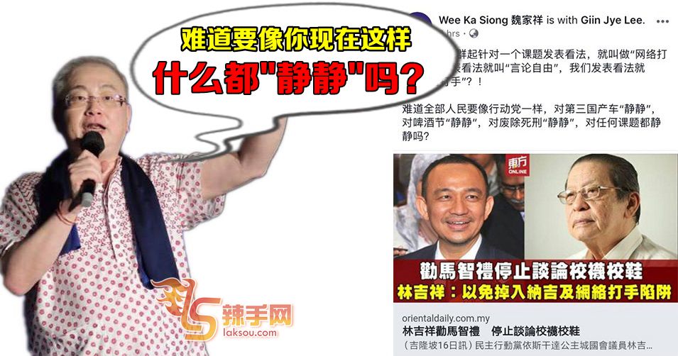 魏家祥：凭什么人民发表看法叫网络打手？