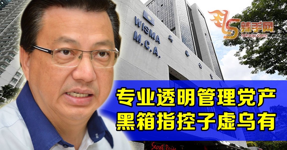 廖中莱：专业透明管理党产 叶炳汉等指控子虚乌有